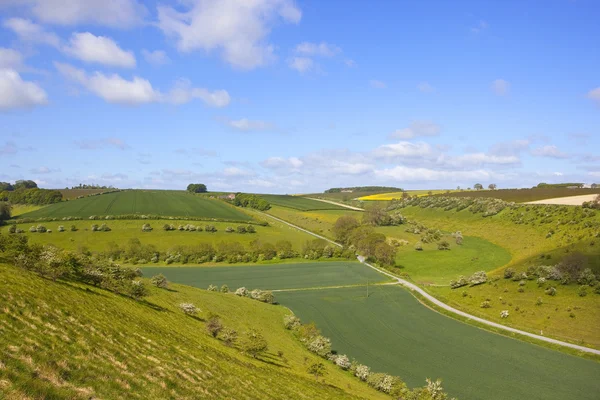 Yorkshire wolds scenery — Stock Photo, Image