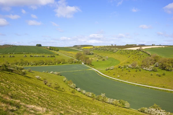 Natursköna jordbruksmark — Stockfoto