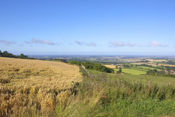 Yorkshire se encuentra en verano — Foto de Stock