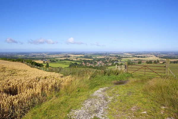 Scenic wheat field — Stock Photo, Image