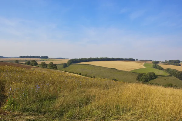 Landwirtschaftliche Landschaft mit Wildblumen — Stockfoto