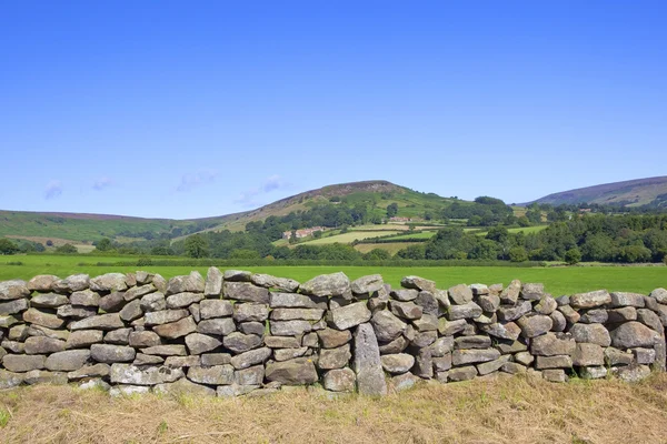 Yorkshire woods landschaft — Stockfoto