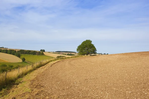 Γραφικό τοπίο wolds Γιορκσάιρ — Φωτογραφία Αρχείου