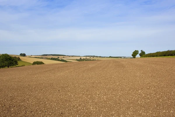 Yorkshire wolds agricultural scenery — Stock Photo, Image