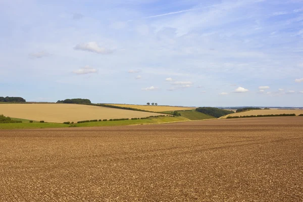 Agrarlandschaft im Spätsommer — Stockfoto