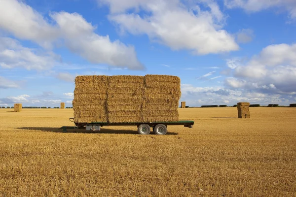 Trailer with bales — Stock Photo, Image