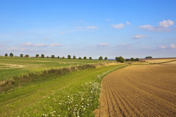 Landschaftlich reizvolle Agrarlandschaft — Stockfoto