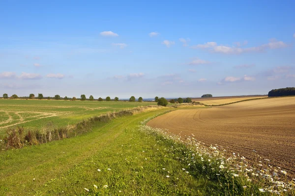 Vackert höstlandskap — Stockfoto