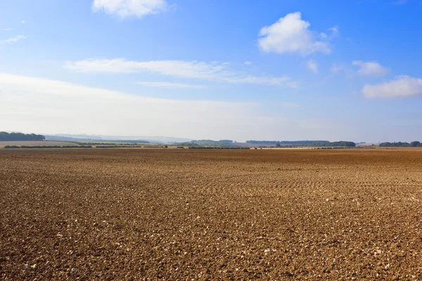 Automne agriculture — Photo