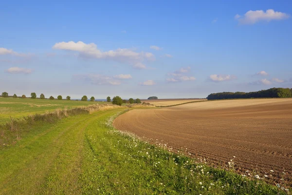 Englische Herbstszene — Stockfoto