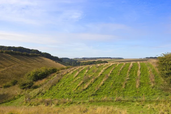 Festői yorkshire wolds — Stock Fotó