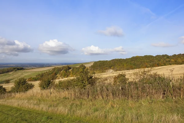 Vale de york en otoño — Foto de Stock