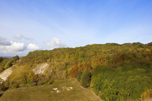 Colline boisée en automne — Photo