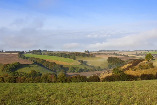 Misty valley — Stock Photo, Image