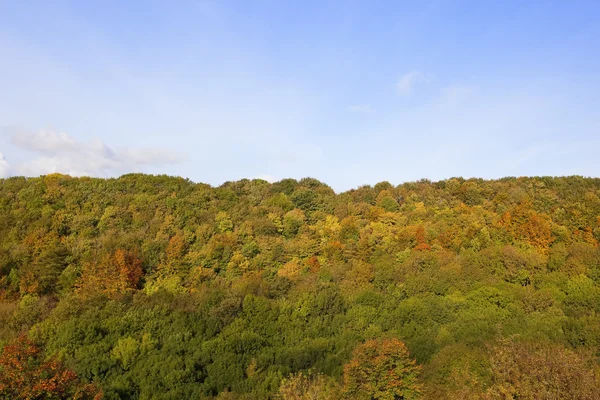 Boschi in autunno — Foto Stock