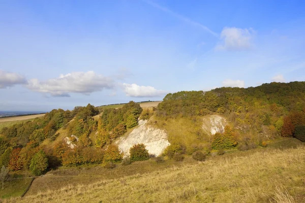 Herbstwald und Wiesen unter blauem Himmel — Stockfoto