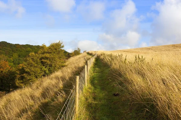 Feldweg im Herbst — Stockfoto