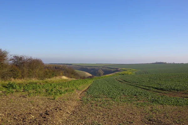 Horsedale vallei landbouw — Stockfoto