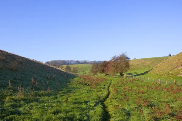 ヨークシャー高原上 horsedale の頭に草が茂った谷 — ストック写真