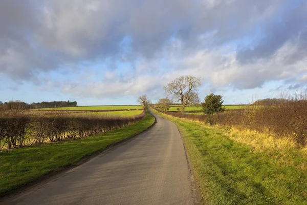 Scenic country road — Stock Photo, Image