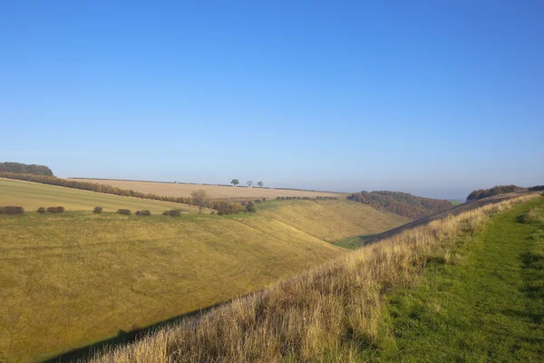 Yorkshire valleys in autumn — Stock Photo, Image