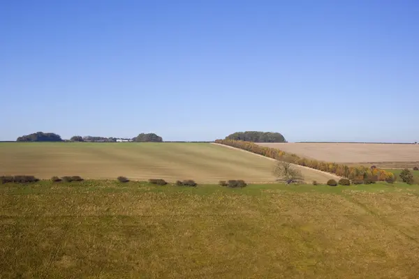 Hellingen in de herfst — Stockfoto