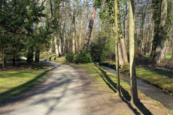 Een pad en een beek in een forest — Stockfoto