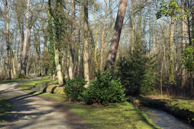 Bir yol ve bir dere içinde bir orman