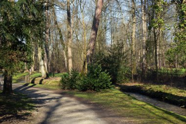 Bir yol ve bir dere içinde bir orman