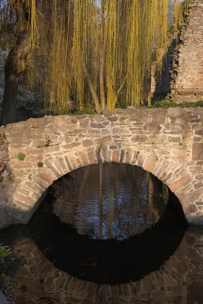 Ruin bridge in park Schoental — Stock Photo, Image