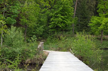 Gölün üzerindeki köprü.