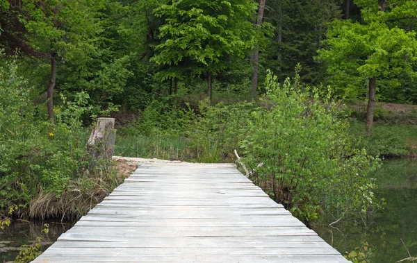 Brücke über einen See — Stockfoto