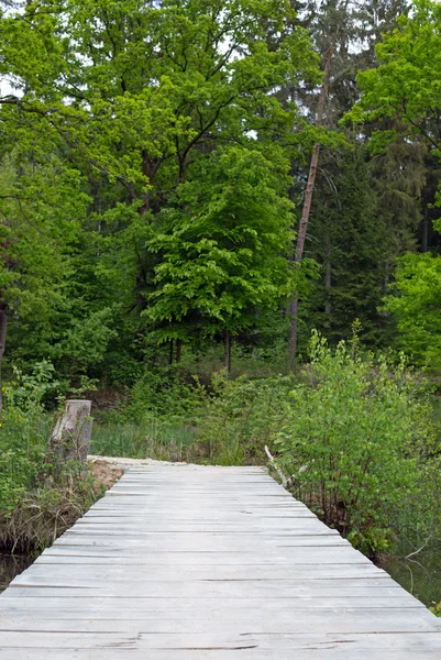 Brücke über einen See — Stockfoto