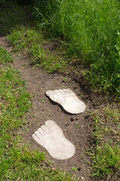 Drewniane nogi w ziemi i trawy — Zdjęcie stockowe