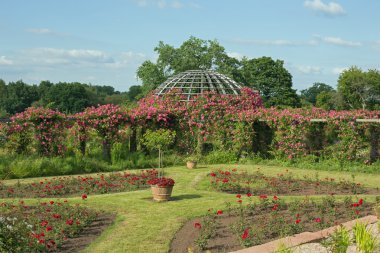 Rosenhoehe, Darmstadt (Hesse, Almanya)