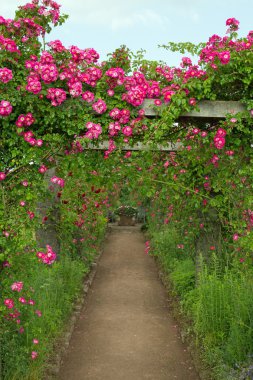 Rosenhoehe, Darmstadt (Hesse, Almanya)