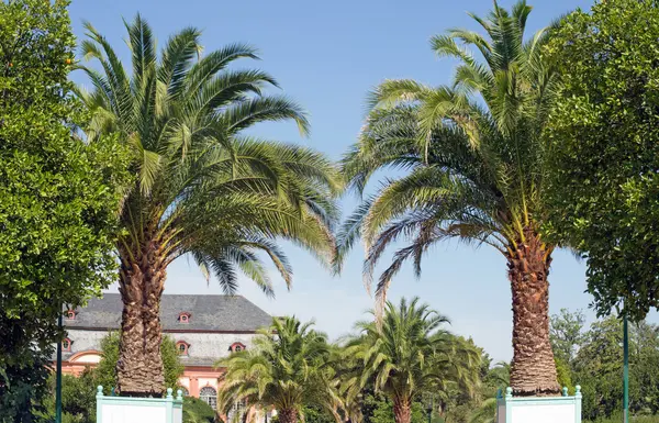 Orangerie in Darmstadt (Hesse, Germany) — Stock Photo, Image