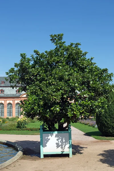 Oranżeria w Darmstadt (Hesja, Niemcy) — Zdjęcie stockowe