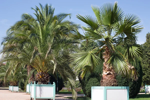 Orangeriegarten in Darmstadt (Hessen)) — Stockfoto