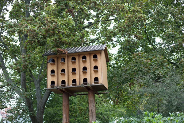 Casa de aves — Foto de Stock