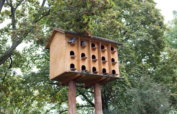Domek dla ptaków — Zdjęcie stockowe