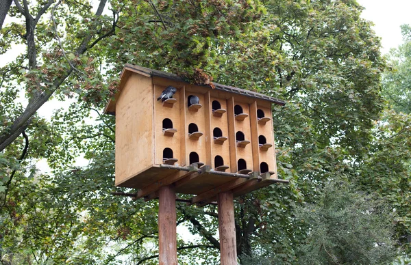 Vogelhuis — Stockfoto