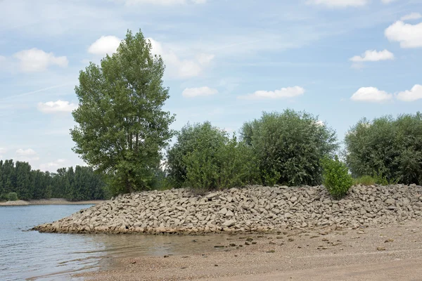 Rheinufer (Rhein)) — Stockfoto