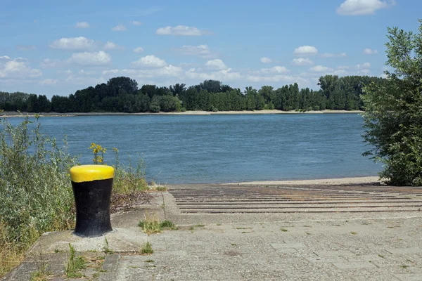 Rheinufer (Rhein)) — Stockfoto