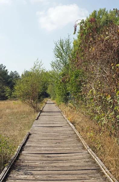 Plankenweg — Stockfoto