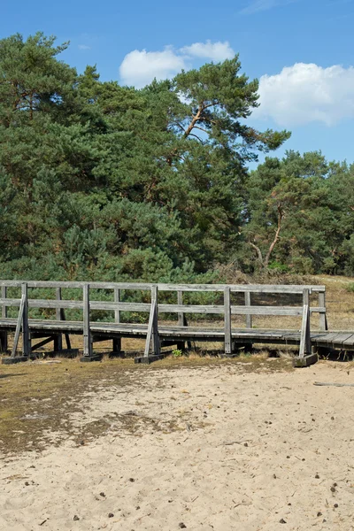 Plankenweg — Stockfoto