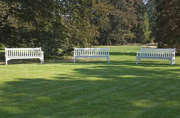 Three benches — Stock Photo, Image