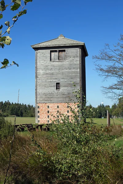 Сторожевая башня Лаймса в Вельбрунне — стоковое фото
