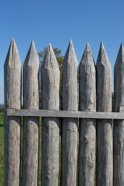 Limes palissade op Vielbrunn — Stockfoto