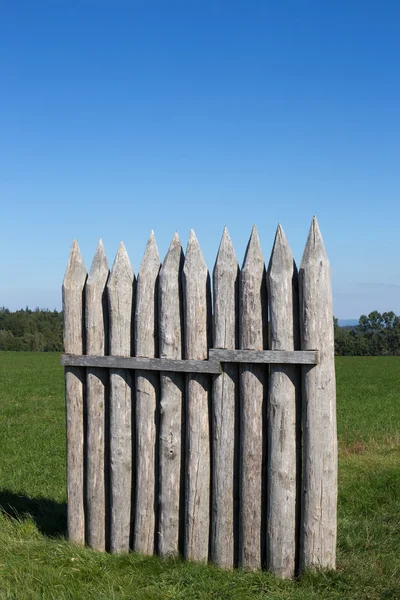 Lindenpalisade bei Vielbrunn — Stockfoto